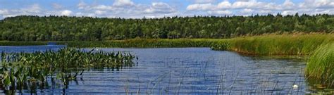 Sandy Lake – Sackville River Regional Park Coalition | Sandy Lake ...