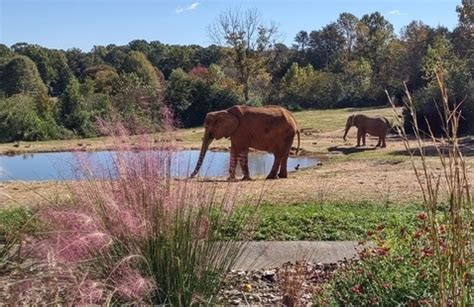 North Carolina Zoo Trip - NC State University Calendar