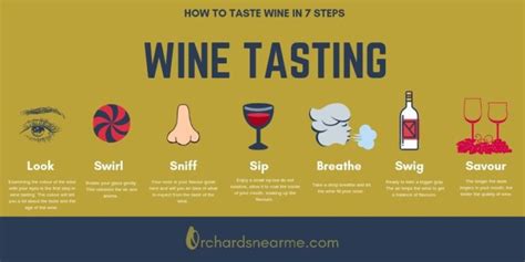 Wine Tasting Guide for Beginners - Orchards Near Me