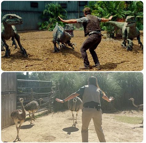 Zoo workers re-create Chris Pratt's best 'Jurassic World' scene ...