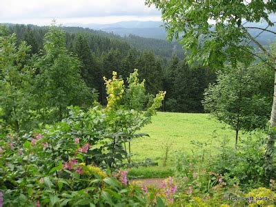 Germany: The Black Forest | Travels with Sandy