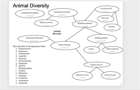 Solved Animal Diversity Second mouth Asymmetrical animals | Chegg.com