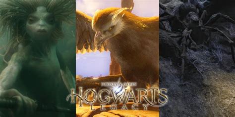 Hogwarts Legacy: 8 Magical Creatures That Would Make Great Bosses