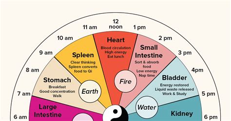 Chinese Body Clock: About, Benefits, Research