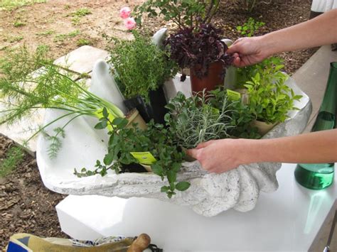 Create a Stunning Herb Container Garden | HGTV