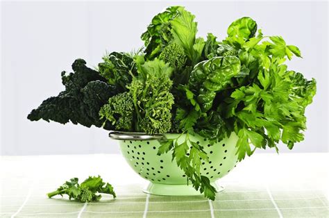 Dark Green Leafy Vegetables Are Loaded With Antioxidants