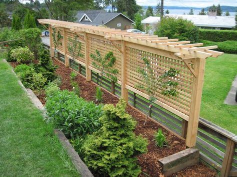 Creative Grape Vine Trellis Ideas for Your Garden