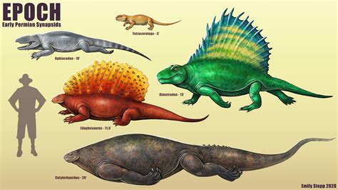 Cotylorhynchus, a large synapsid of the Early Permian period. Poster が大特価！