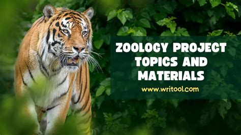 100+ Best Zoology Research Project Topics And Materials