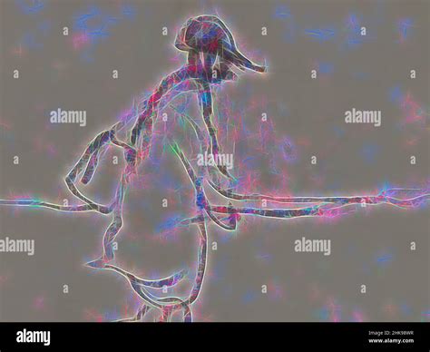 Boer culture hi-res stock photography and images - Alamy