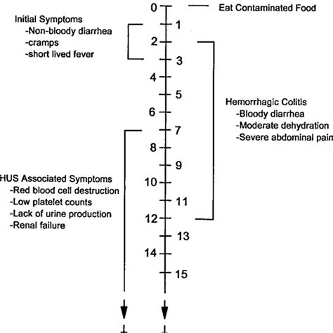 Symptoms and time course of Escherichia coli O157:H7 infection ...