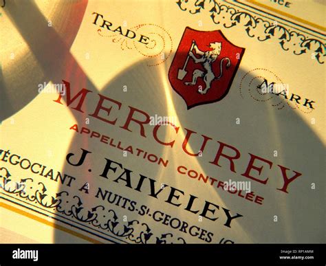 Red burgundy fine wine label tasting concept hi-res stock photography and images - Alamy