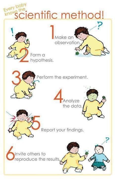 A strange, yet accurate, and slightly funny poster on the scientific method. | Scientific method ...