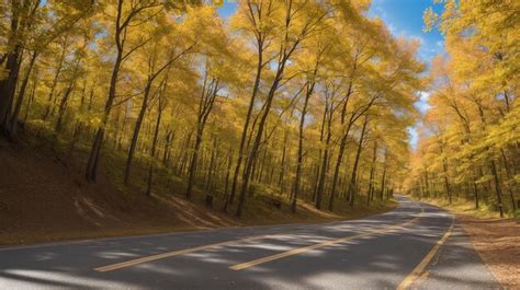 Premium AI Image | A Road With A Yellow Tree Lined With Leaves