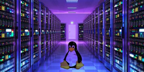 12 Best Linux Server Operating Systems and Who Should Use Them