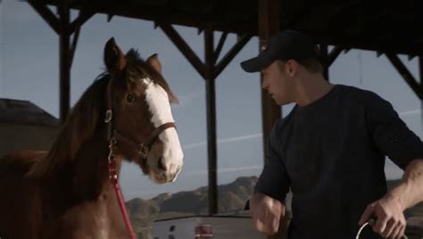 Budweiser Super Bowl Commercials 2013 | Budweiser Superbowl Clydesdale baby has been named ...