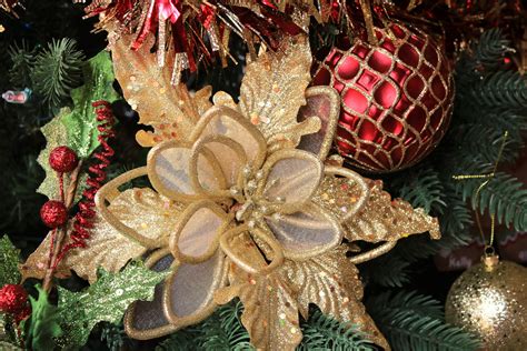 Gold Poinsettia Christmas Ornament Free Stock Photo - Public Domain Pictures