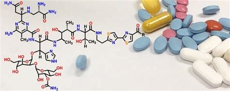 Medicinal Chemistry | School of Molecular Sciences