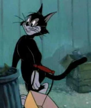 Tom And Jerry Black Cat