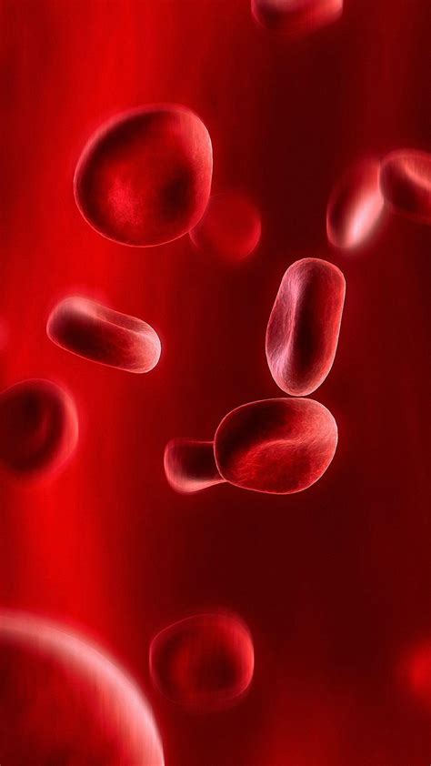 Blood Cells Wallpapers - Top Free Blood Cells Backgrounds - WallpaperAccess