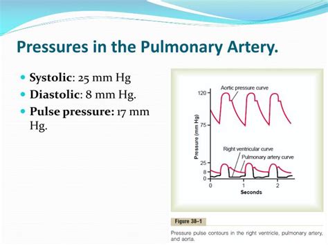 PPT - Chapter: 38 Pulmonary Circulation, Pulmonary Edema, Pleural Fluid ...