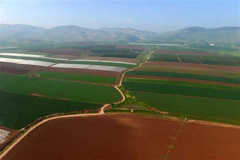 Agriculture in Israel