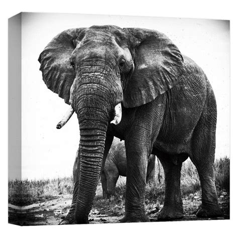 PTM Images "ELEPHANT PORTRAIT'' Canvas Abstract Wall Art 15 in. x 15 in ...