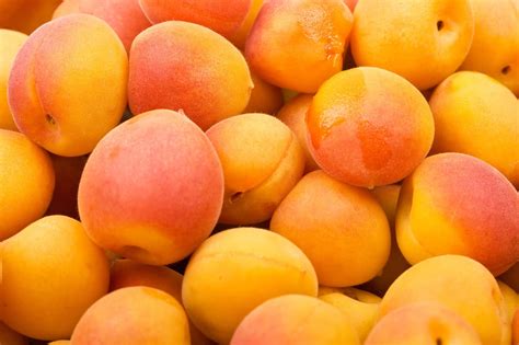 All About Apricots - How to Pick, Prepare & Store | Healthy Family Project
