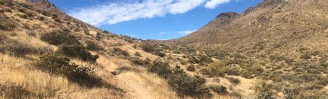 Gateway and Tom's Thumb Loop Trail: 5.115 foto's - Arizona | AllTrails