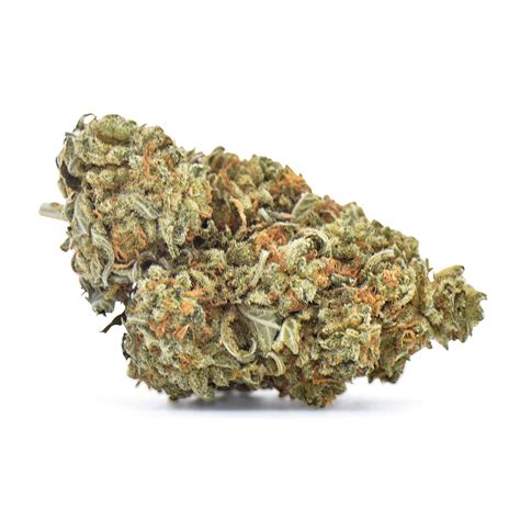 Gold Leaf (AA) - $99 Ozs - Kush Kings