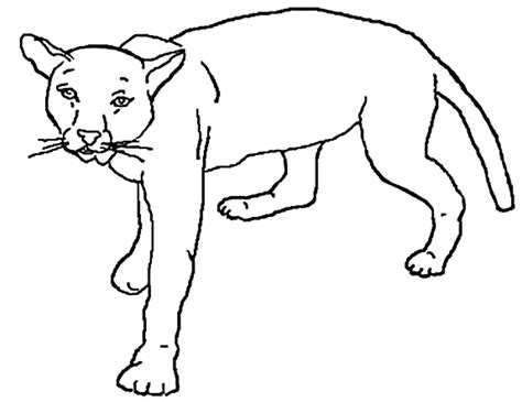 Mountain lion clipart 20 free Cliparts | Download images on Clipground 2023