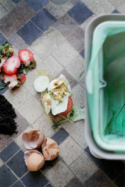 A Beginner's Guide To Indoor Composting | Hello Nest