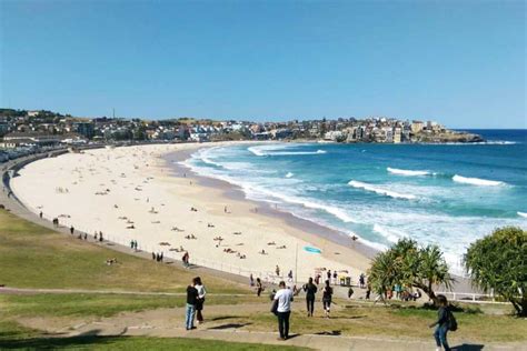 Surfing in Bondi Beach