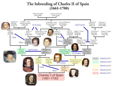 40 Odd Facts About the Inbred King Charles II of Spain - History Collection