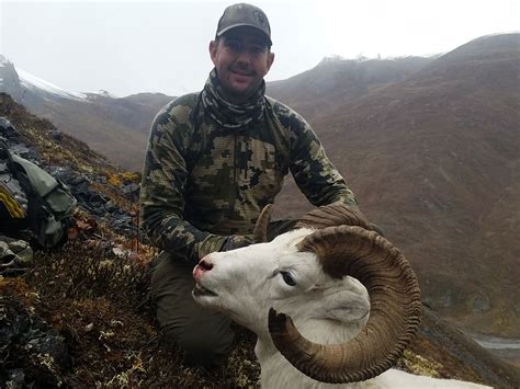 Sheep - Big Game Back Country Guides