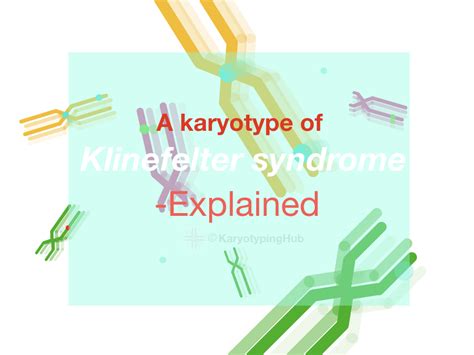 A karyotype of Klinefelter Syndrome- Explained – KaryotypingHub