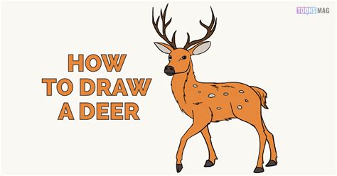 Small Deer Drawing Easy Deals Cheapest | hit.skku.edu