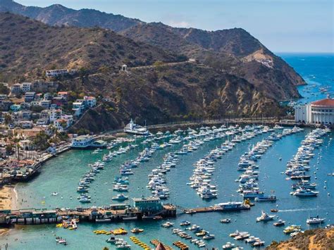 Discover Avalon Tour | Catalina Island