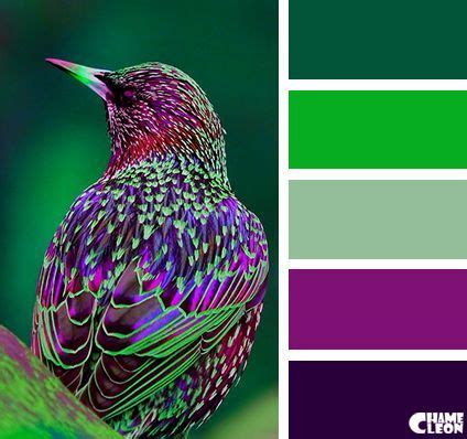 Purple color schemes, Color palette, Color inspiration
