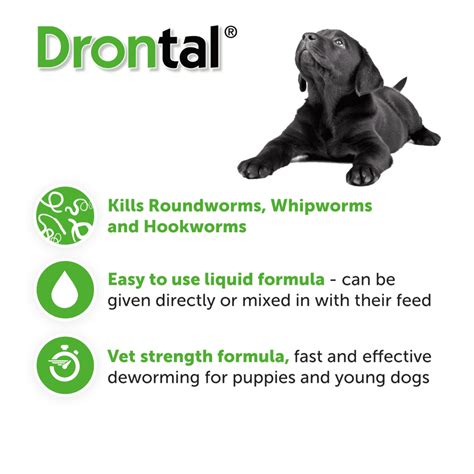 Drontal Puppy Wormer Suspension | The PharmPet Co