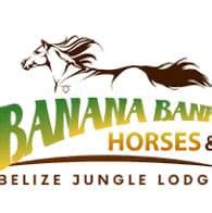 Banana Bank Horses and Belize Jungle Lodge | Belmopan