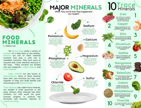 Food Minerals Infographic - Comprehensive Nutrition Blog