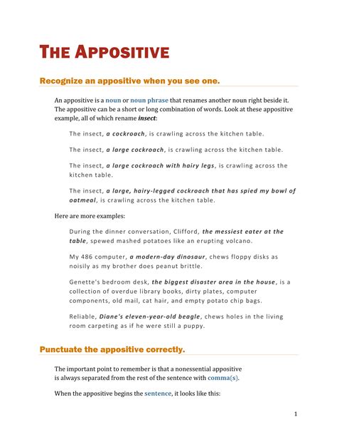 Appositive Sentence - 7+ Examples, PDF