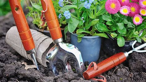 4 Main Types Gardening Forks That You Need To Know About • Garden Shire