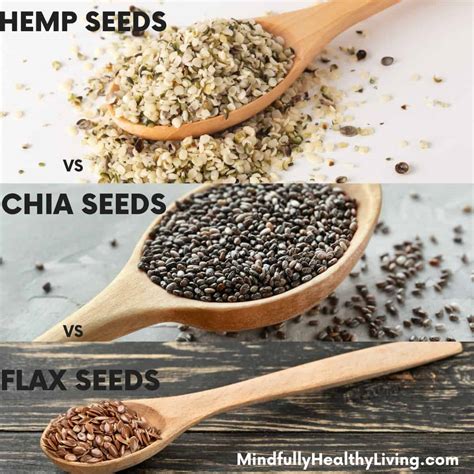 Hemp vs Chia vs Flax Seeds: Benefits and Uses