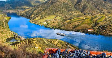 Porto Wine Tour: Discover The Best Wine Cellars