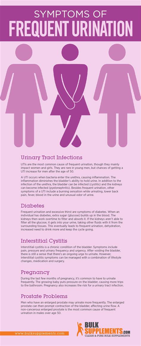 Frequent Urination: Symptoms, Causes, Treatment