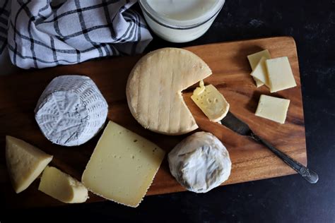 50+ Cheesemaking Recipes (for Beginners and Beyond) — Practical Self ...