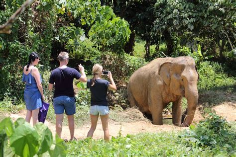 WINDOW on Phuket: Phuket Elephant Sanctuary | Rehabilitation & Ethical Tourism