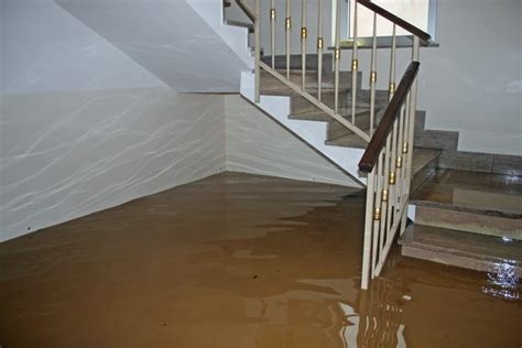 Water Damage Prevention Tips | Norwood |Newton | Boston | MA